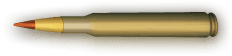 Bullet Level 13